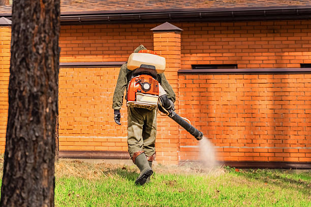 Trusted Ant Control service in Cottonwood, CA - Nex Pest Control